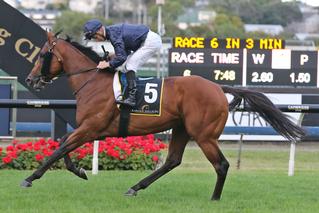 2019 Karaka Million 3YO Classic winner Long Leaf (Fastnet Rock). 